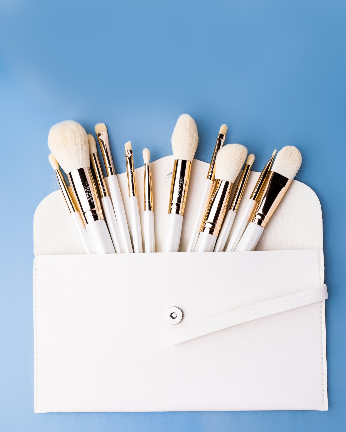Blanco - 12 Piece Brush Set