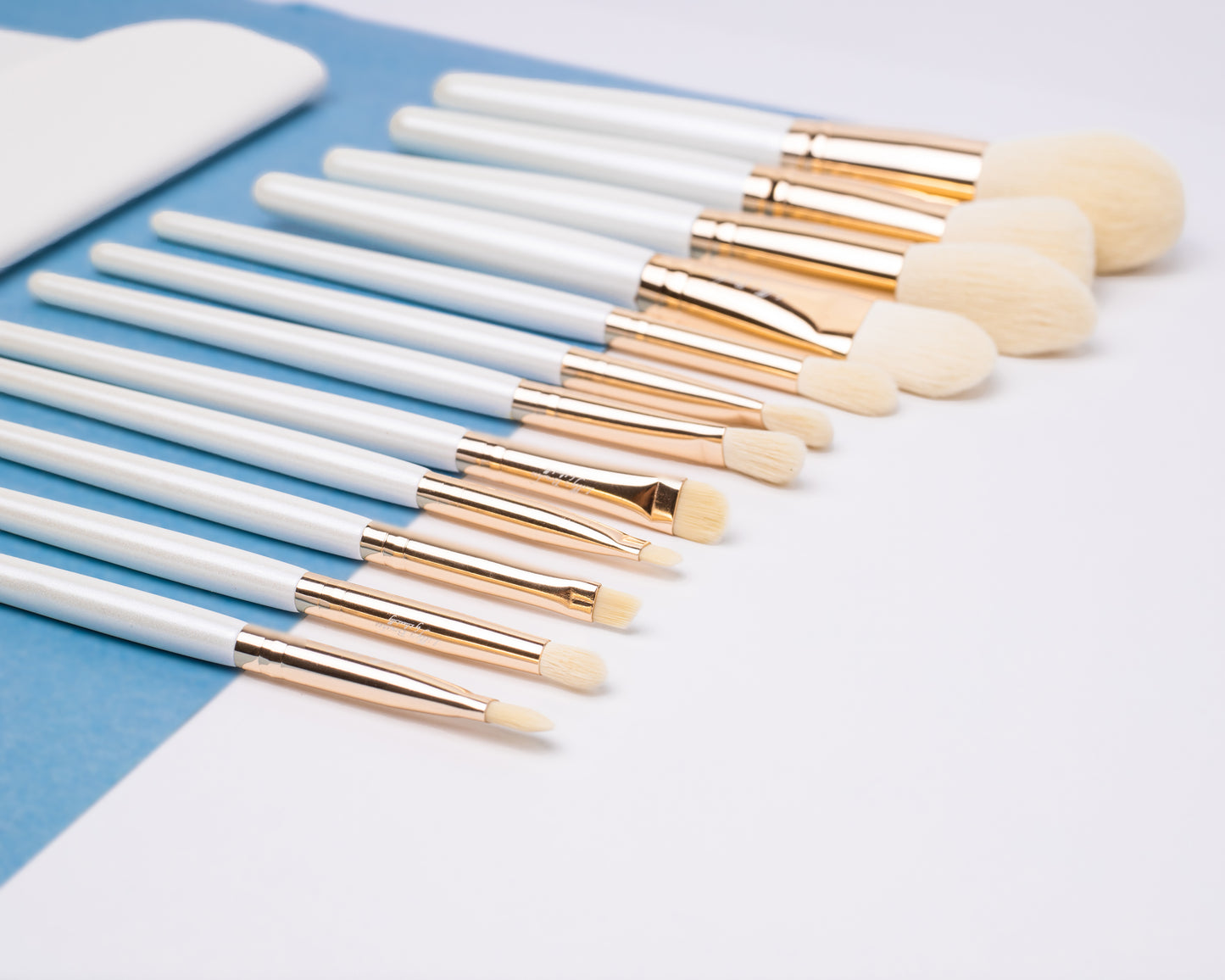 Blanco - 12 Piece Brush Set